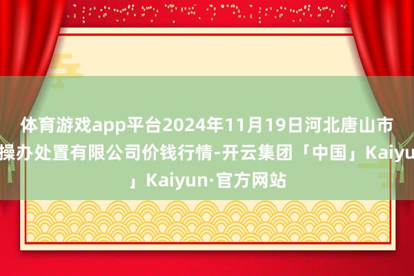 体育游戏app平台2024年11月19日河北唐山市荷花坑阛阓操办处置有限公司价钱行情-开云集团「中国」Kaiyun·官方网站