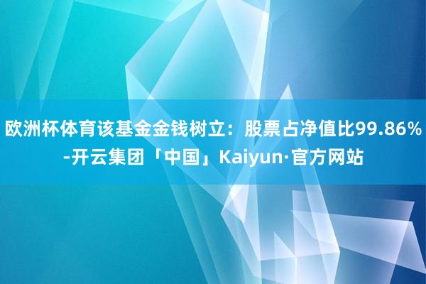 欧洲杯体育该基金金钱树立：股票占净值比99.86%-开云集团「中国」Kaiyun·官方网站